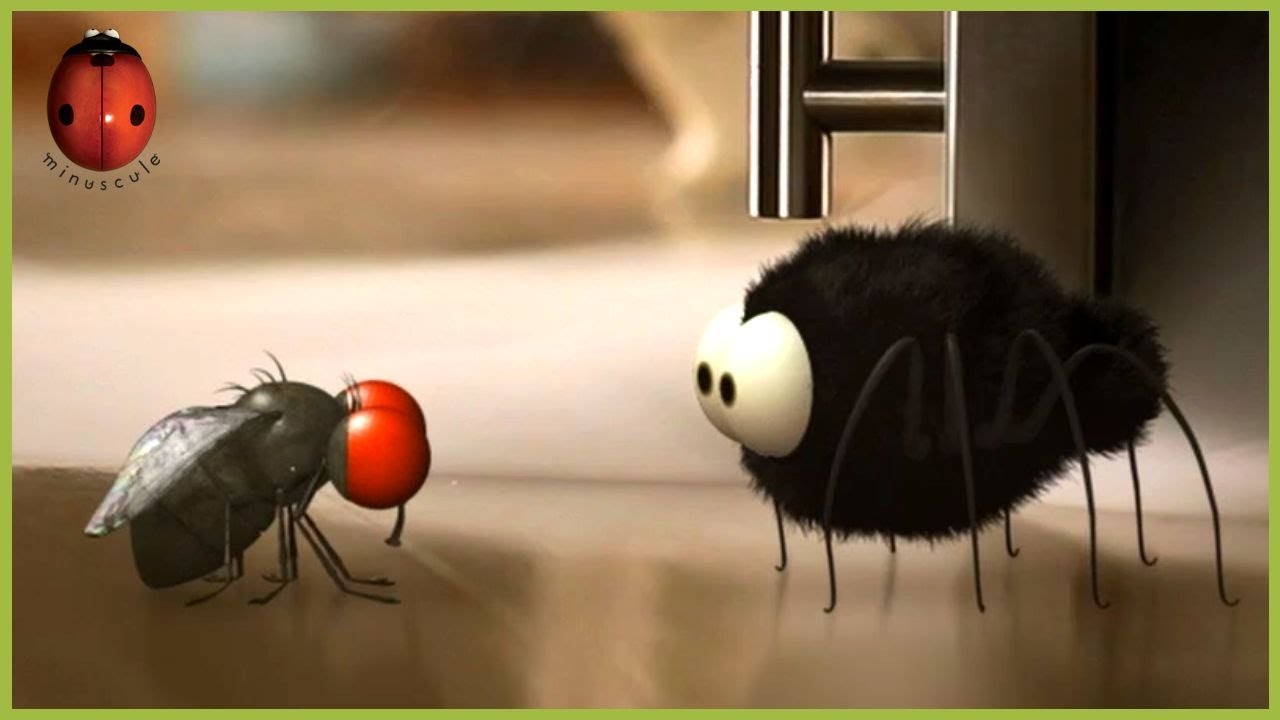 Microzilla | Minuscule | 25' Compilation