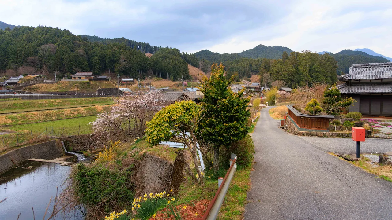 Morning in the Country, Village Walk along Riverside | Nara, Japan