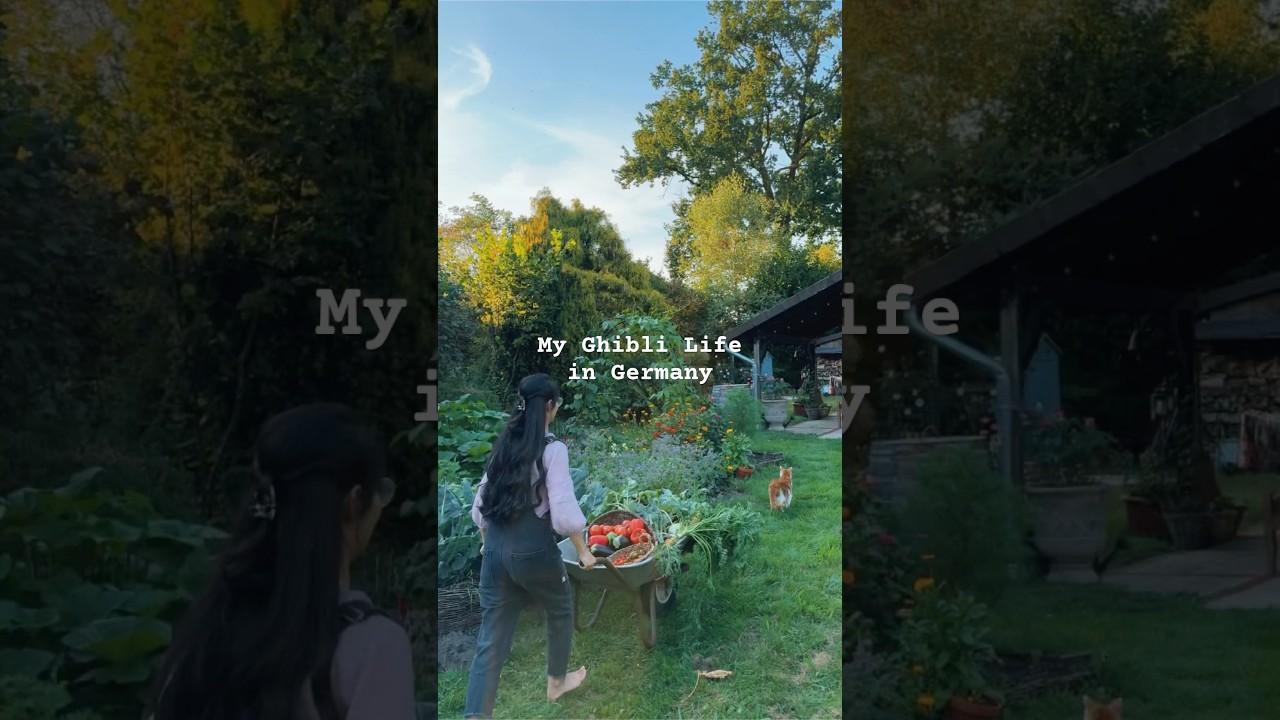 My Ghibli life in Germany