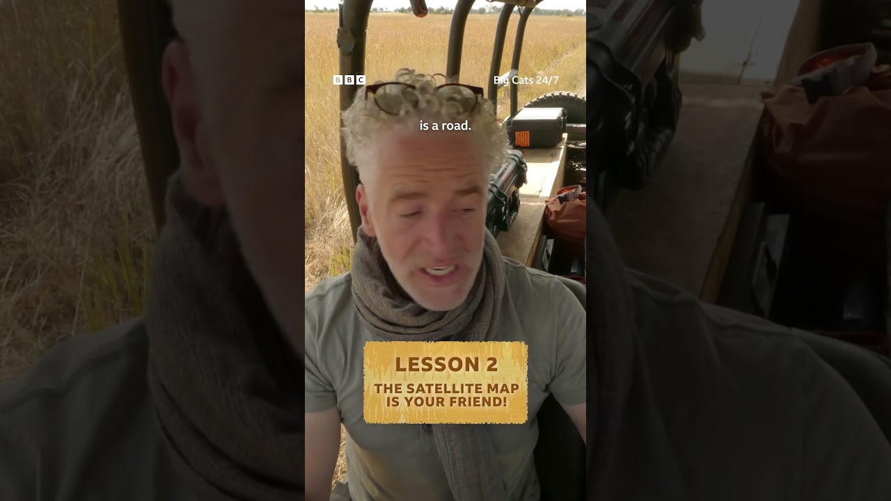 Navigating the Okavango Delta with Gordon Buchanan 🦁 #BigCats247 #Lions #Cheetahs #Leopards #Shorts