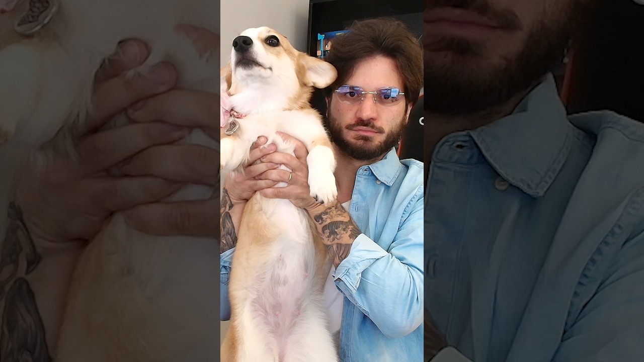 O NOVO CACHORRO DO JAZZGHOST!