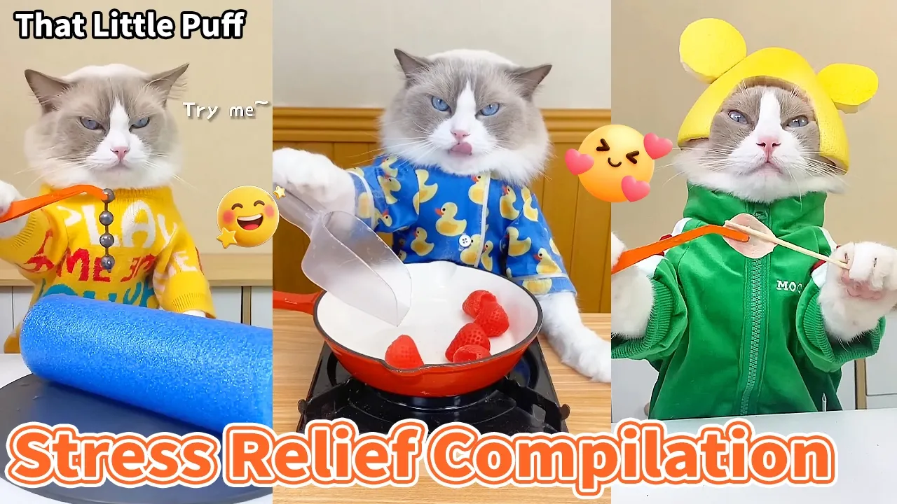 OCD Heaven: Super Satisfying Videos | That Little Puff