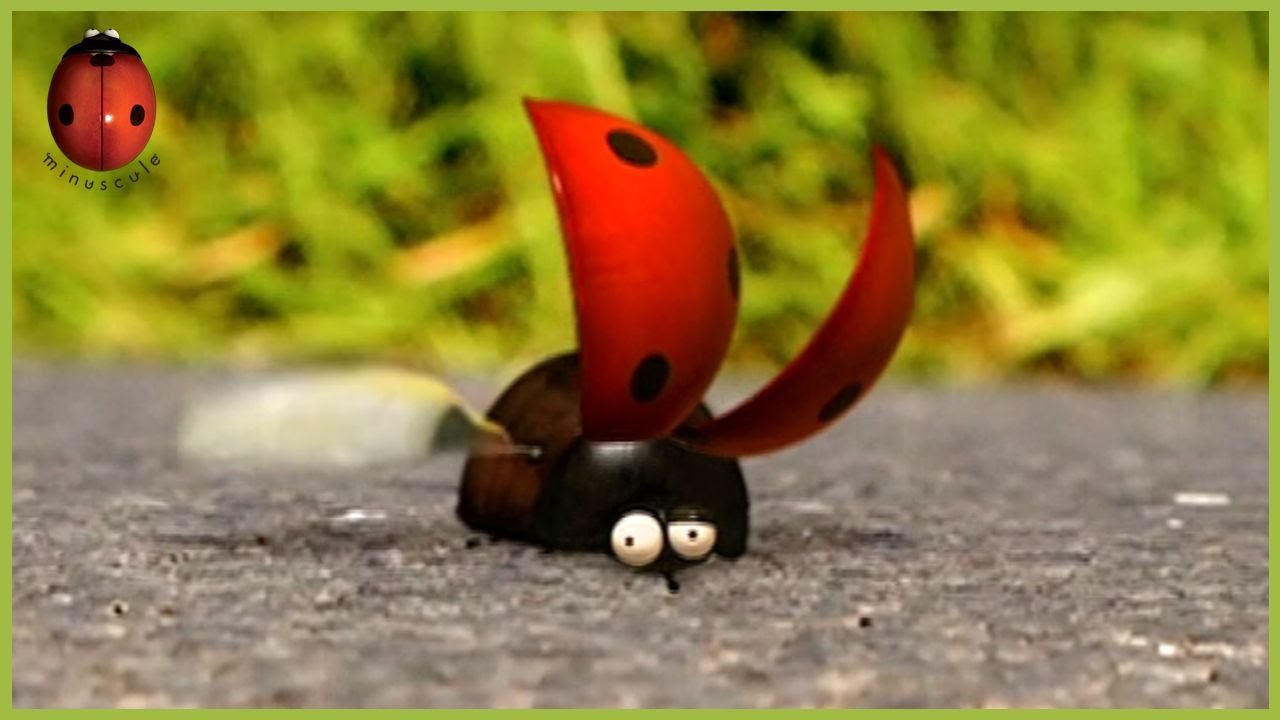 On Your Marks, get set, go ! | Minuscule | 30' Compilation