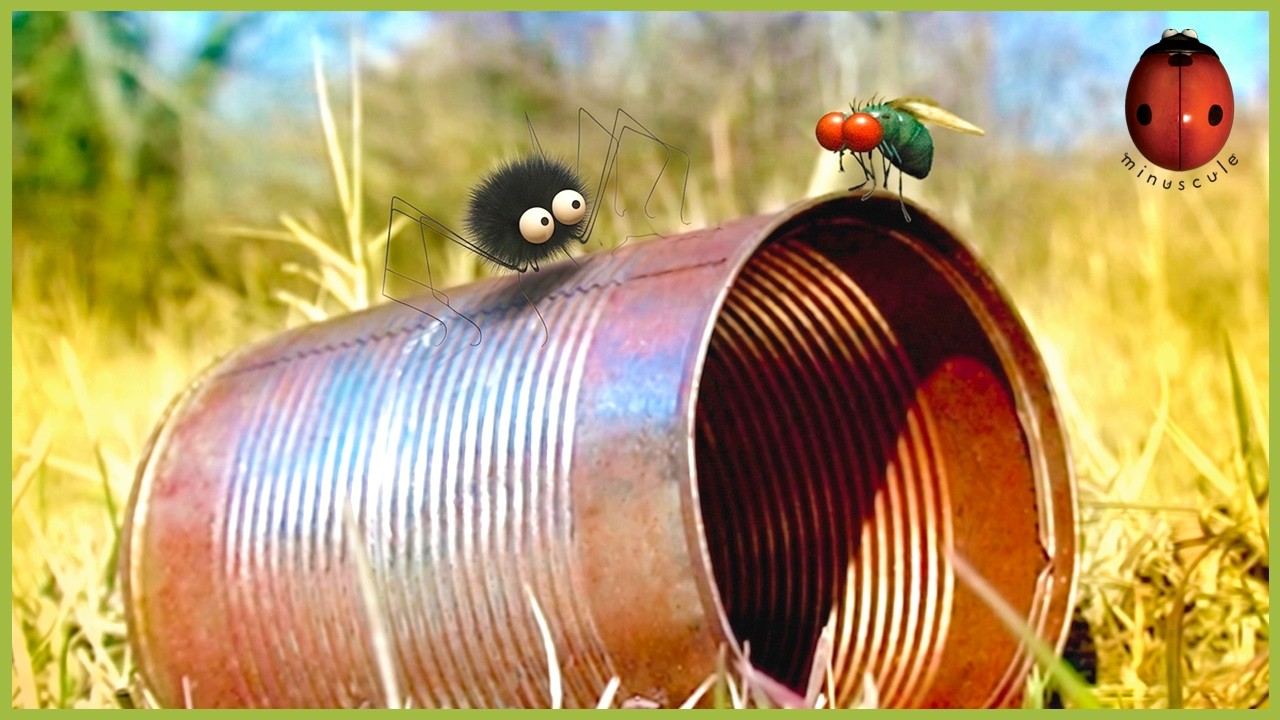 Out Of A Tin Can | Minuscule | 55' Compilation