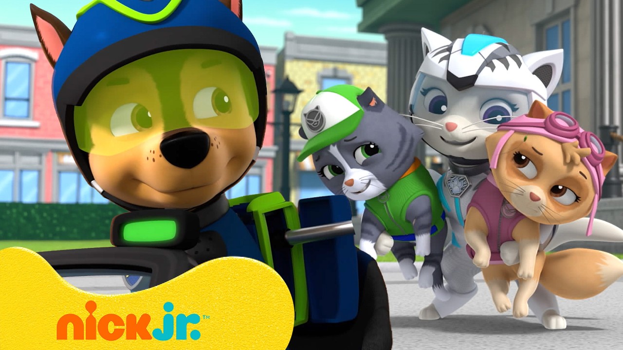 PAW Patrol Teams Up with the Cat Pack! | PAW Patrol | Nick Jr.