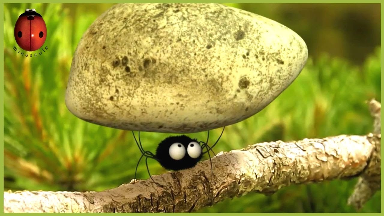 Pea supper | Minuscule | 15' Compilation