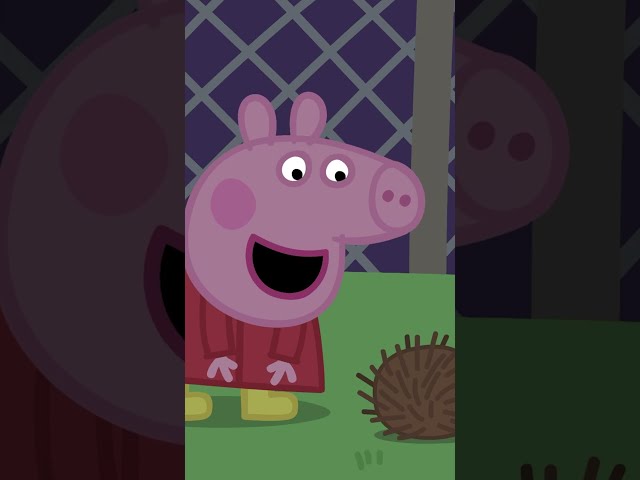 Peppa Meets a Hedgehog 🦔 #shorts #peppapig
