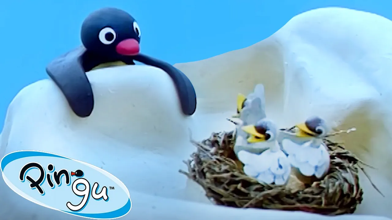 Pingu and the Bird's Mom 🐧 | Pingu - Official Channel | Cartoons For Kids