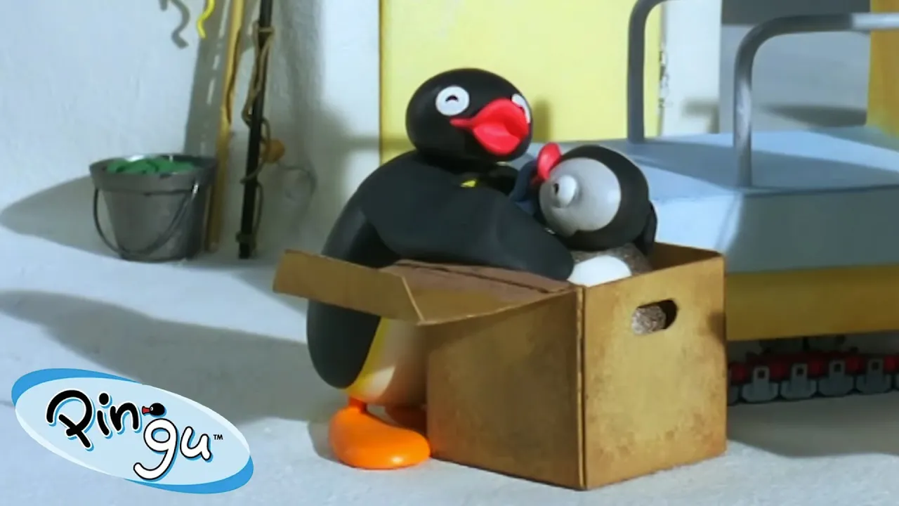 Pingu in a Box! 🐧 | Pingu - Official Channel | Cartoons For Kids