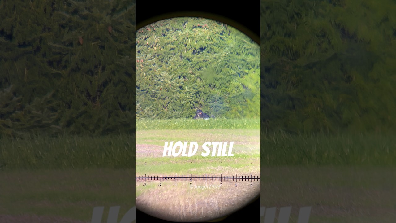 POV: You’ve Spotted a Sniper