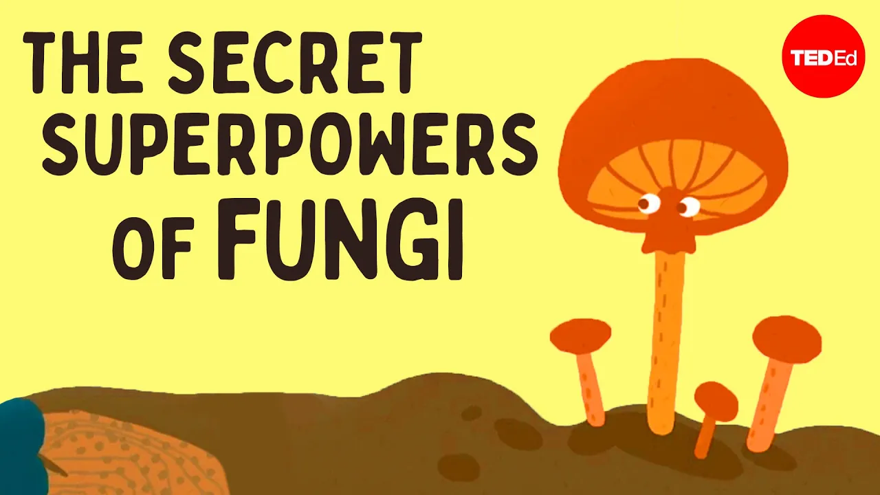 Psychedelics, mind control, radiation-eating: The secret superpowers of fungi - Max G. Levy