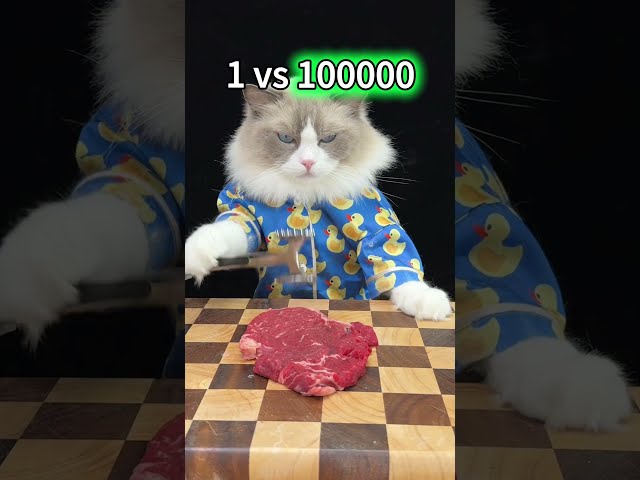 Puff I think that’s too “well done” of a steak! #thatlittlepuff