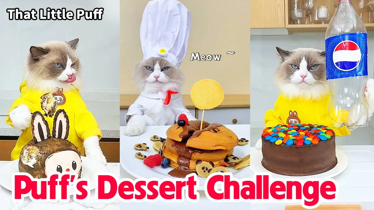 🍰Puff’s Dessert Challenge: A Blissful Taste That Captures You in One 🎂| That Little Puff