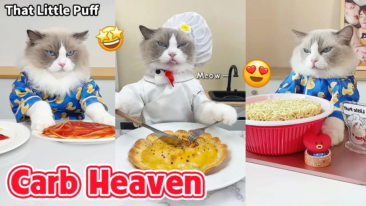Puff's Ultimate Carb Feast Compilation🍞🍝🐱  | That Little Puff