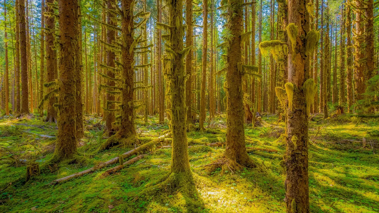 Pure Nature Sounds & Breathtaking USA Landscapes in 4K | Relax with Nature - S2; Ep 3