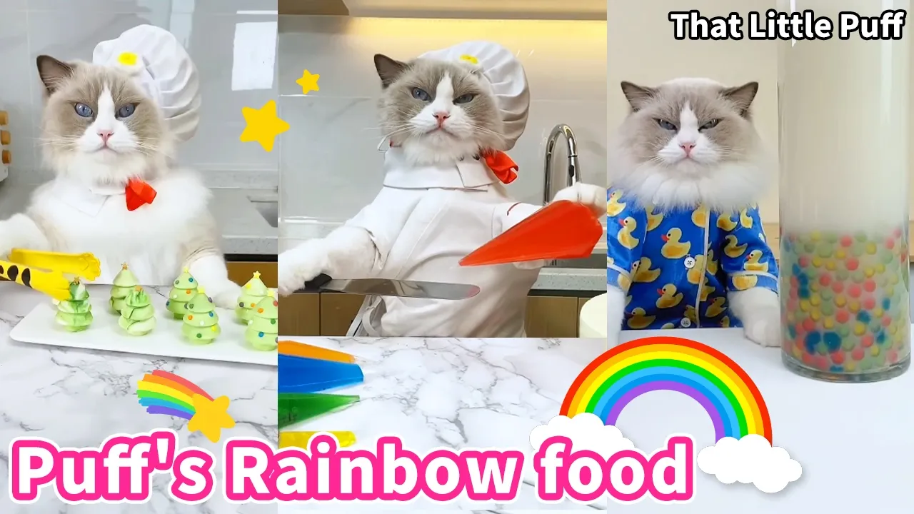 🌈Rainbow food compilation pick your favorite color | That Little Puff
