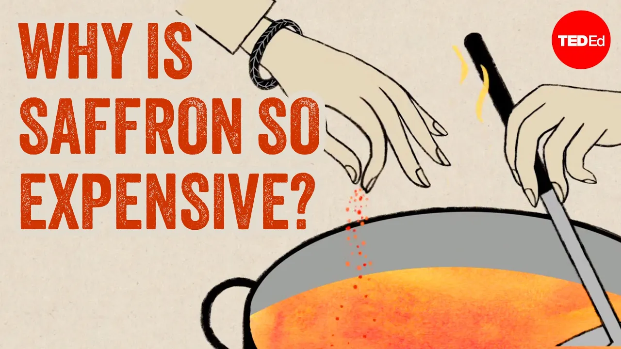 Red gold: The world's most expensive spice - Carolyn Beans