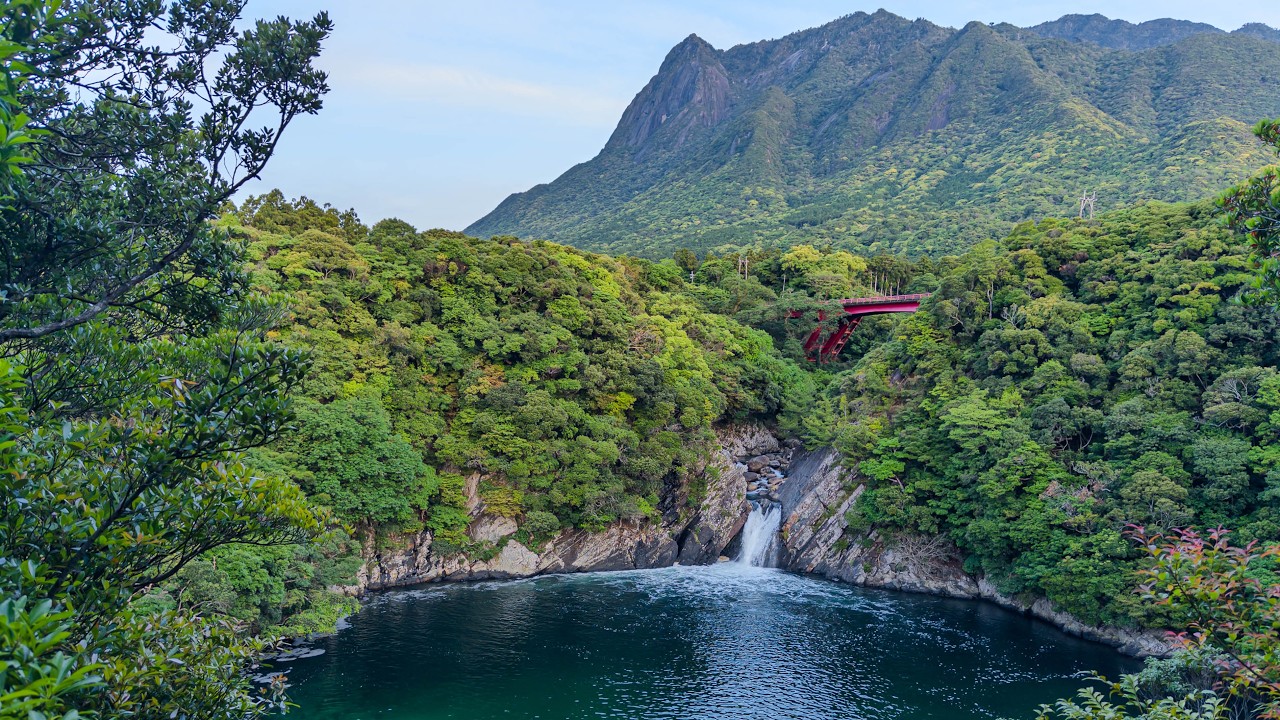 Rice Field Walk to Waterfall Views | Yakushima, Japan