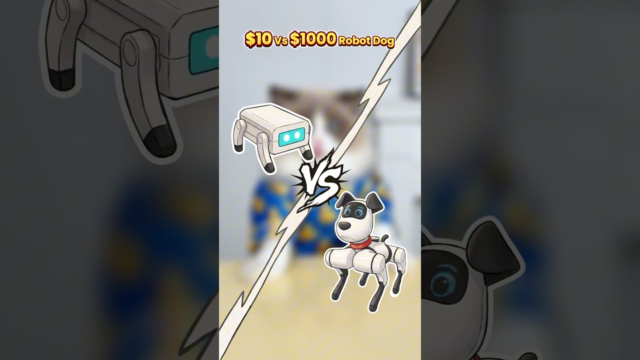 Robot dog competition! #thatlittlepuff