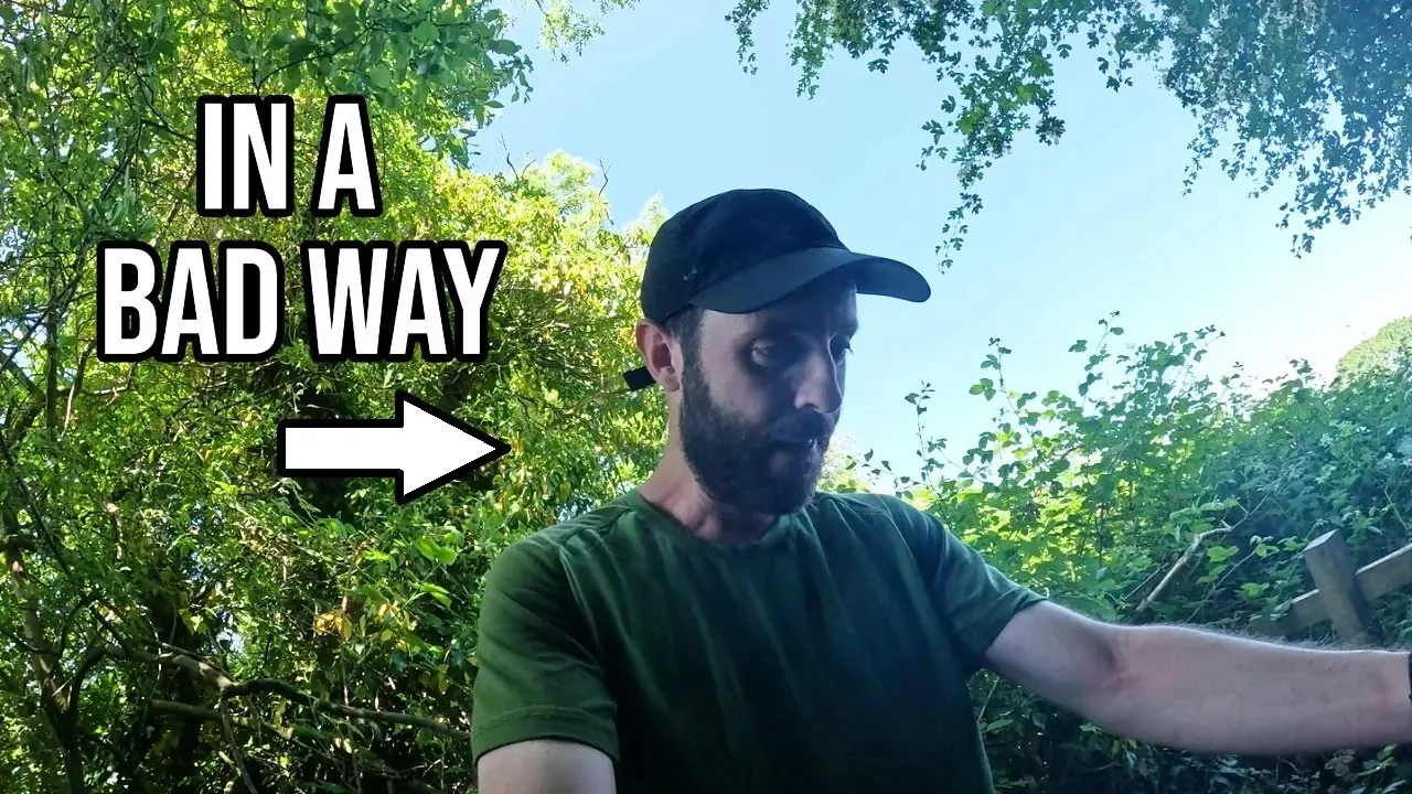 Running north into the countryside (ultra marathon time trial gone wrong)