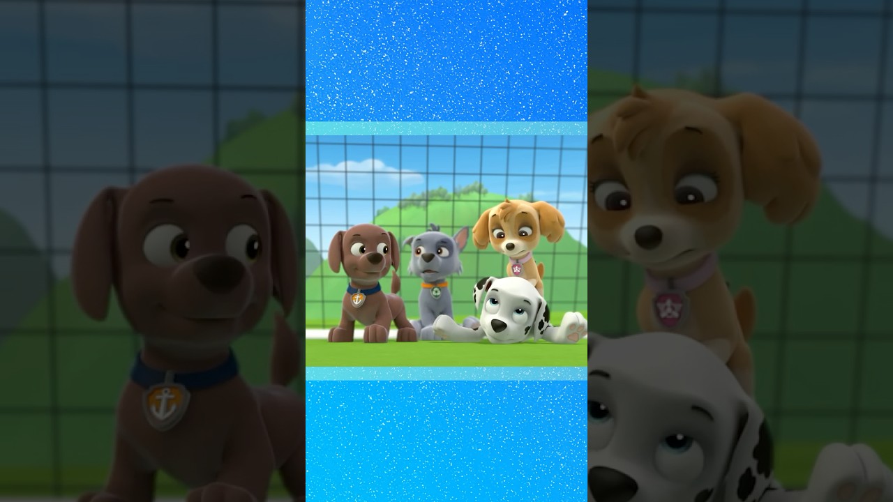 Ryder can spot trouble from anywhere with the Lookout Tower!