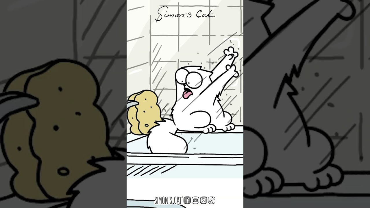 Self Care for Cats
