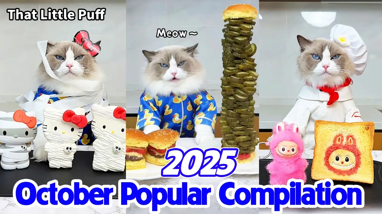 September to October Popular Compilation 2025 | That Little Puff