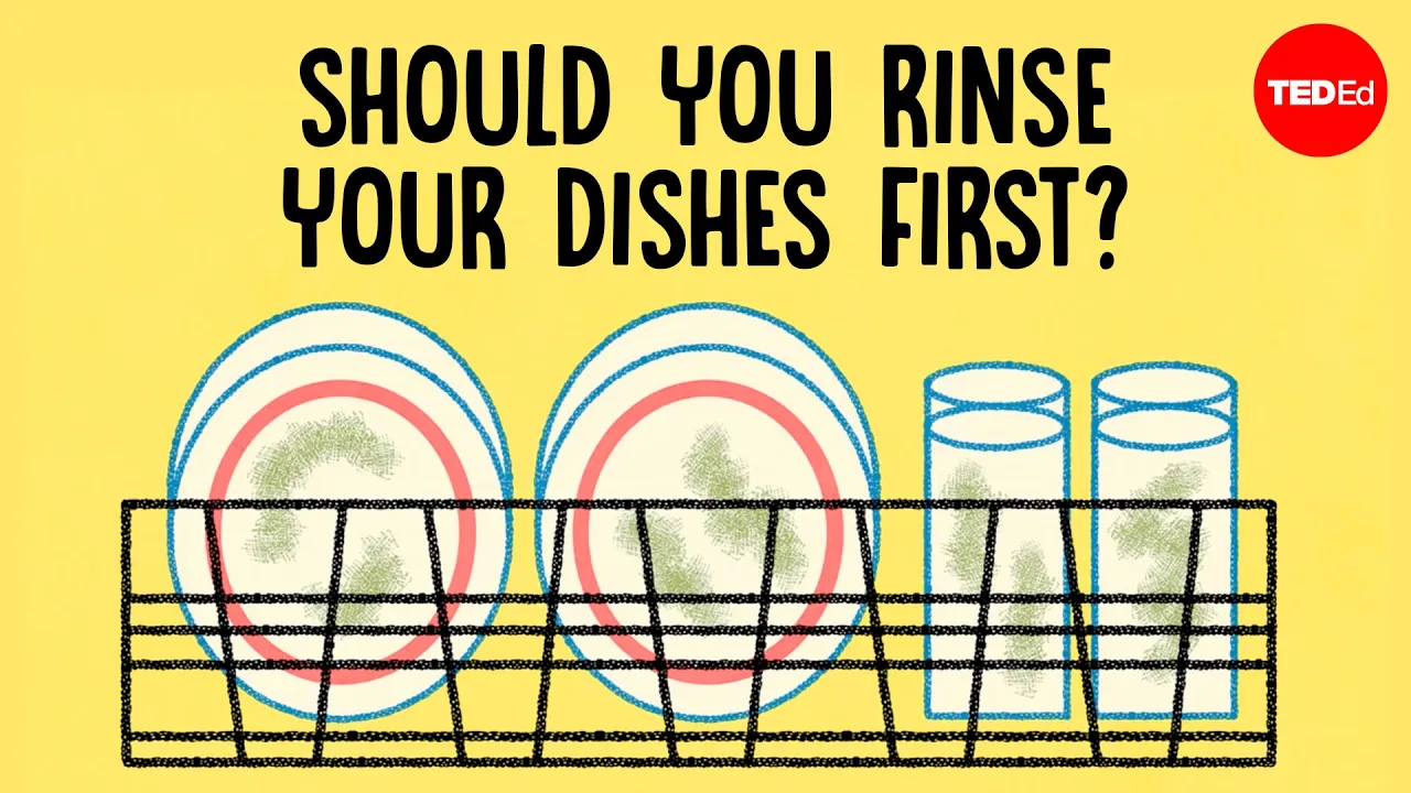 Should you rinse your dishes before placing them in the dishwasher? - Rachel Yang