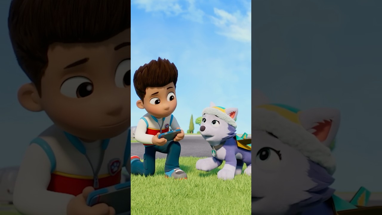 Skye is missing from the PAW Patrol!