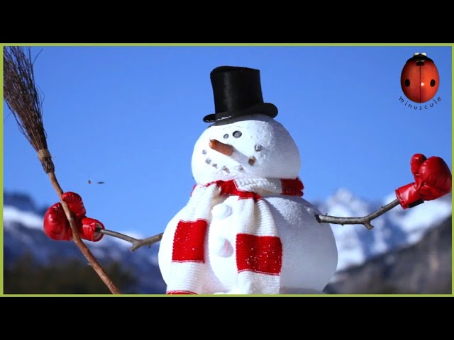 Snow Fly 🎅 Minuscule ⛄️ 55' Compilation