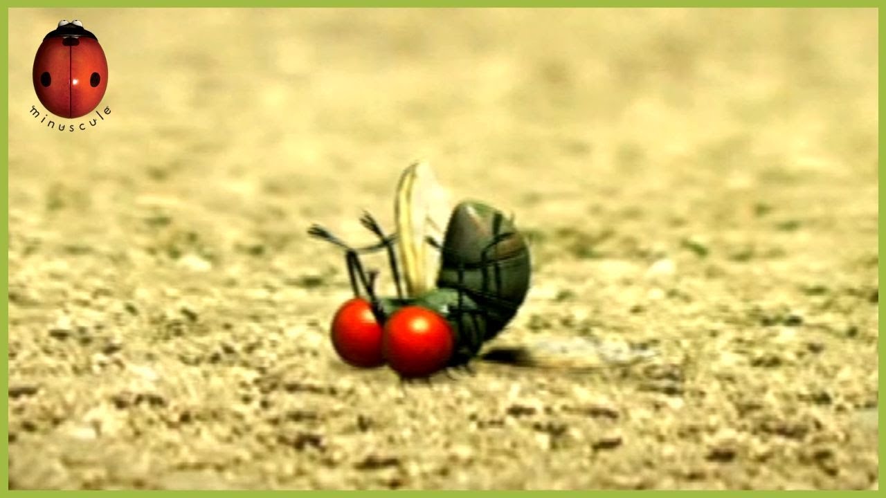 Some Weird Fly | Minuscule | 45' Compilation
