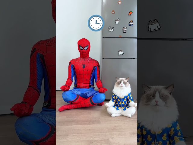 Spider-Man hack! #spiderman #thatlittlepuff