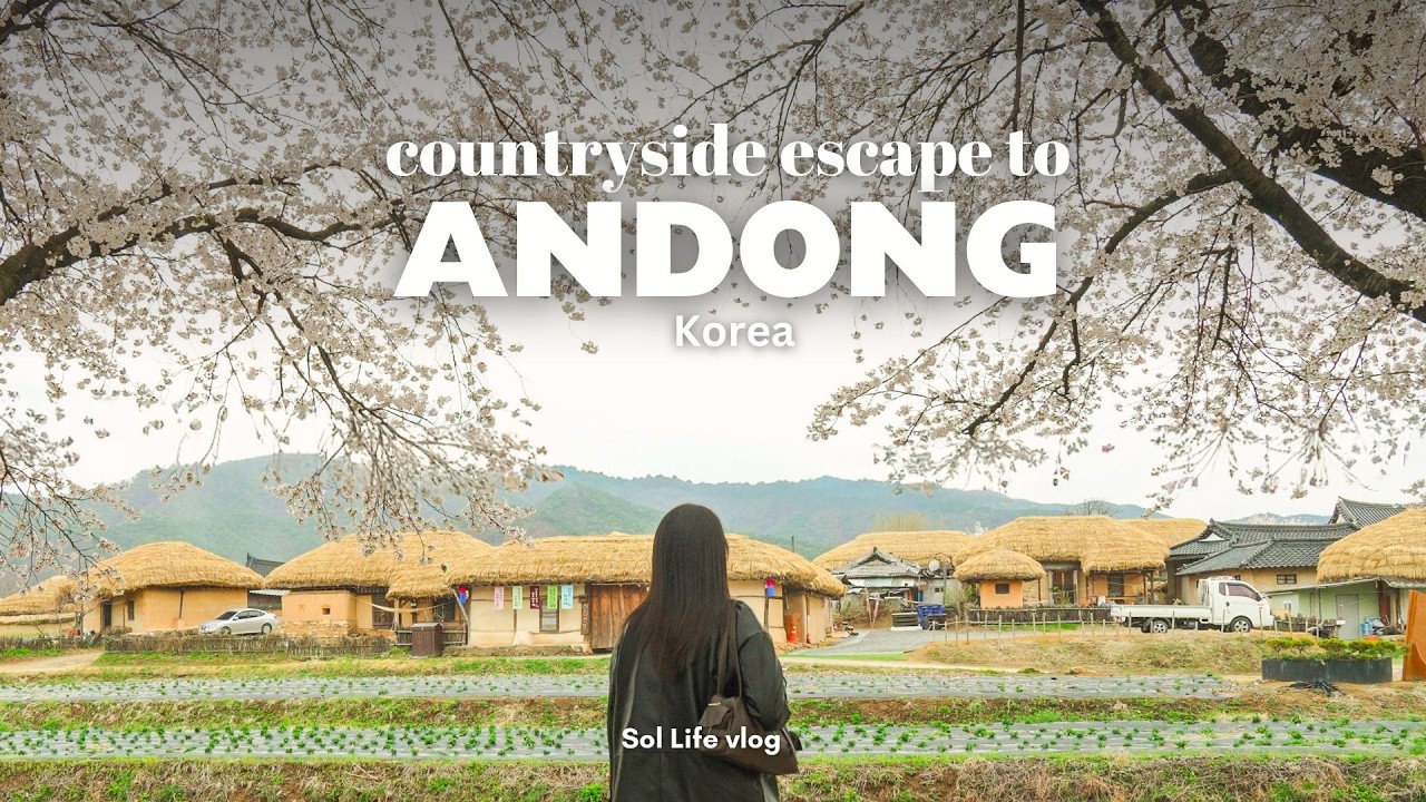 Spring trip to Korea's countryside, Andong | cherry blossom festival, Hahoe folk village
