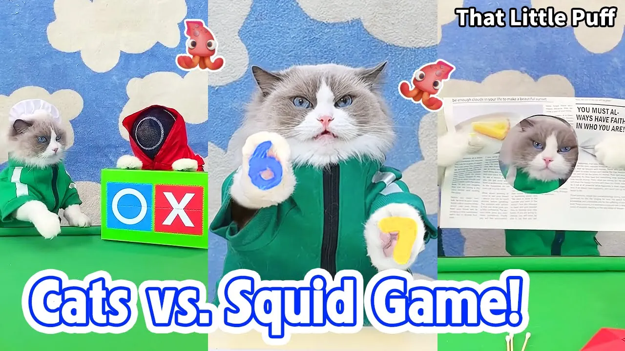 Squid Game🦑But With Cats 🐱 Who Wins? | That Little Puff