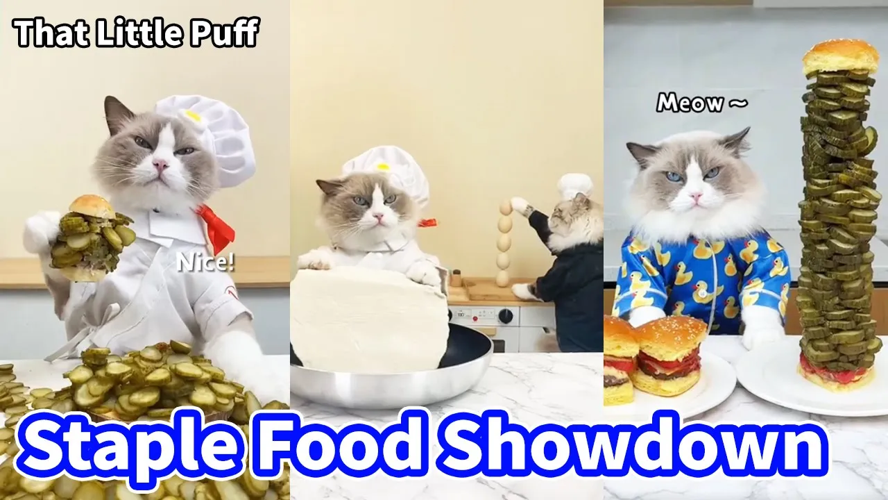 🍔🍕Staple Food Showdown: Who is the real king？👑| That Little Puff