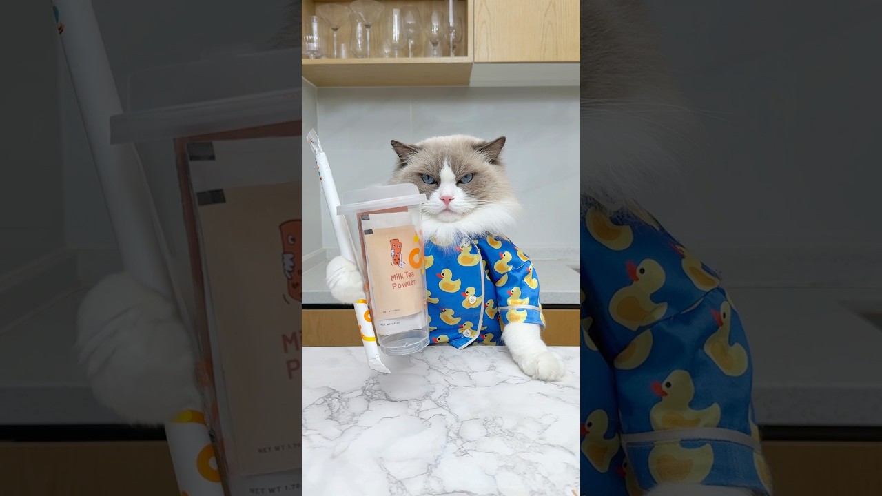 Tag a friend who loves Boba Tea! @JayChou #thatlittlepuff