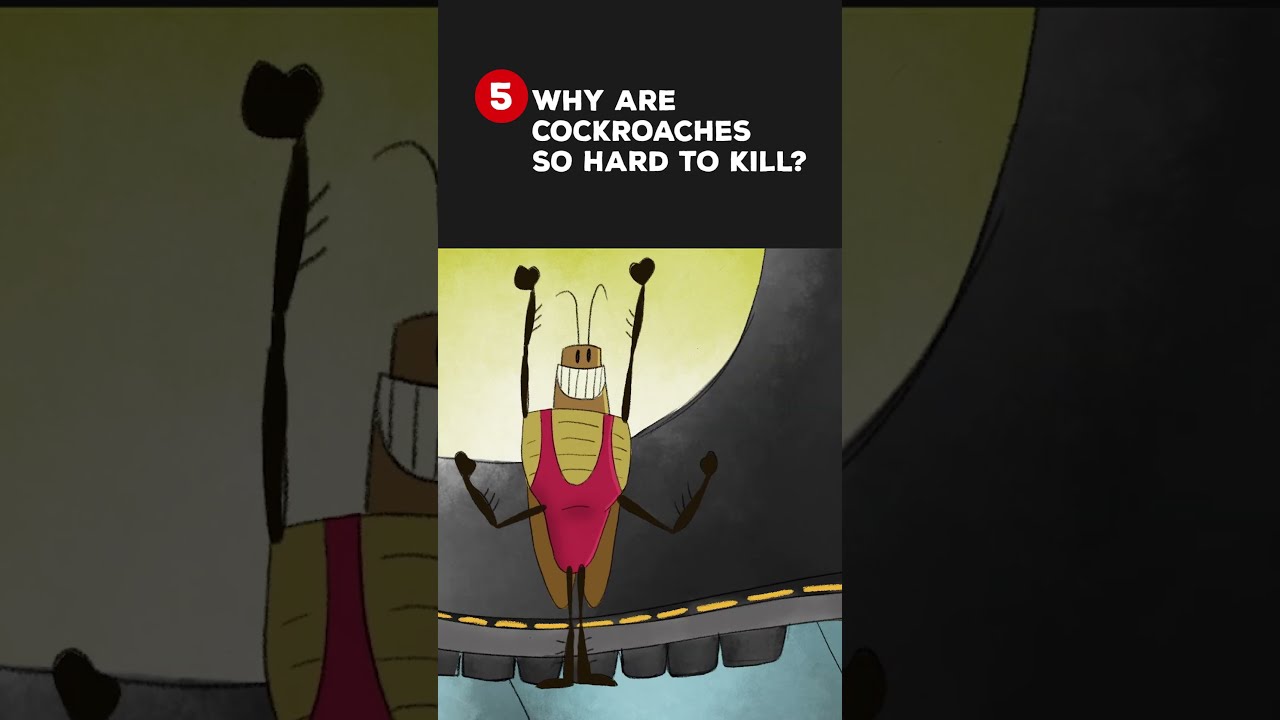 TED-Ed's top 10 animations of 2022! #shorts