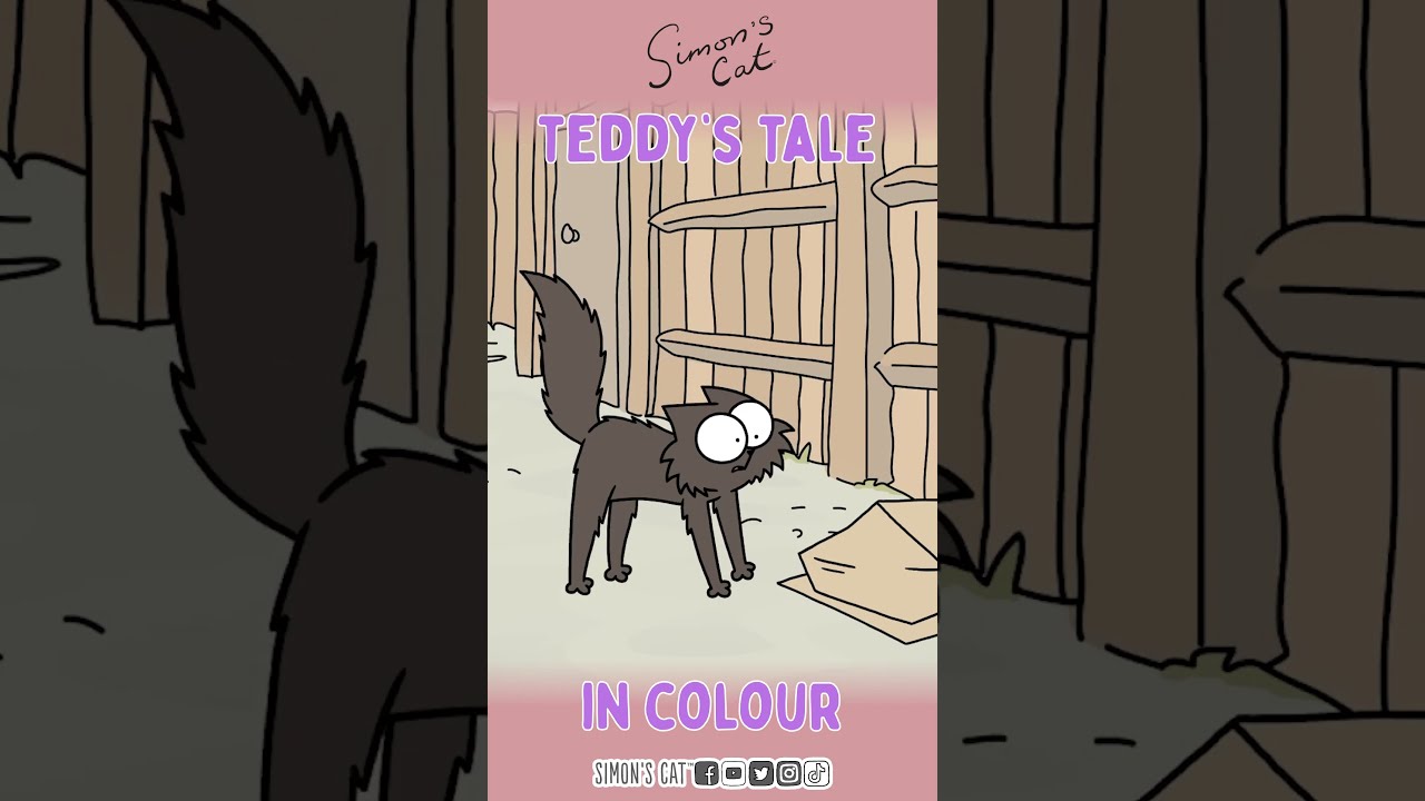 Teddy's Tale Told in 60 Seconds