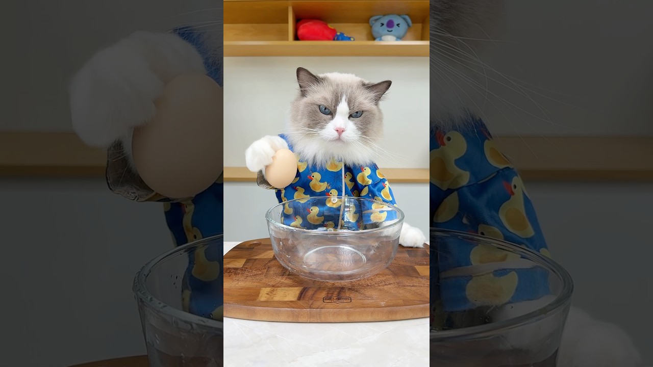 That looks suspicious… #thatlittlepuff