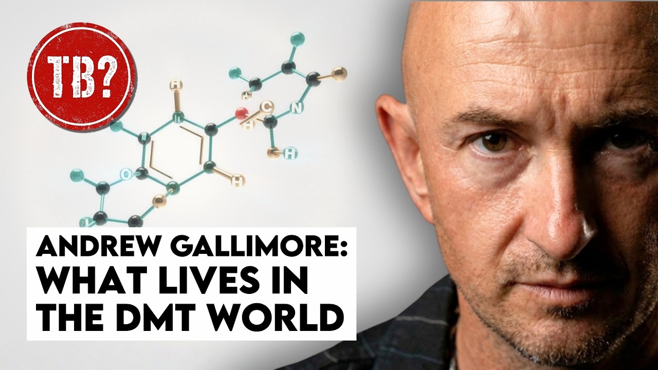 The Basement: Andrew Gallimore | DMT Didn't Take You Somewhere New — It Unlocked What's Always There
