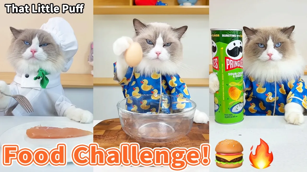 The Funniest Food-Making Challenges 😂🍳| That Little Puff