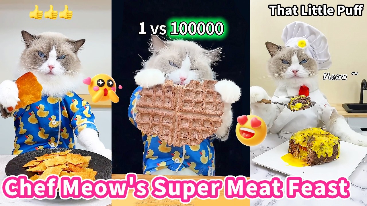 The Meow Chef: Best meat Recipe🥓 | That Little Puff