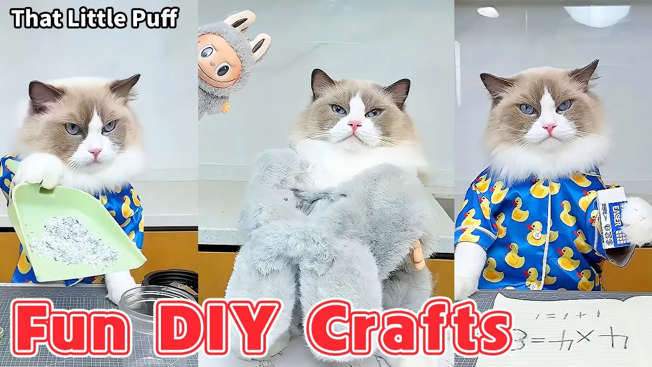 The Most Fun DIY Crafts of the Year 🤯✂ | Craft Compilation | That Little Puff