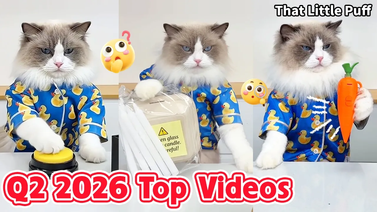 The Most Popular Videos of Q2 2026✨ | That Little Puff