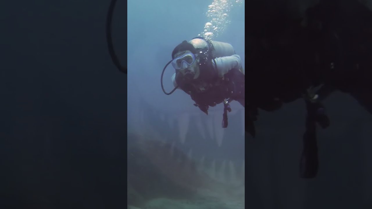 The Mysterious Swiss Lake Monster | Fascinating Horror Shorts
