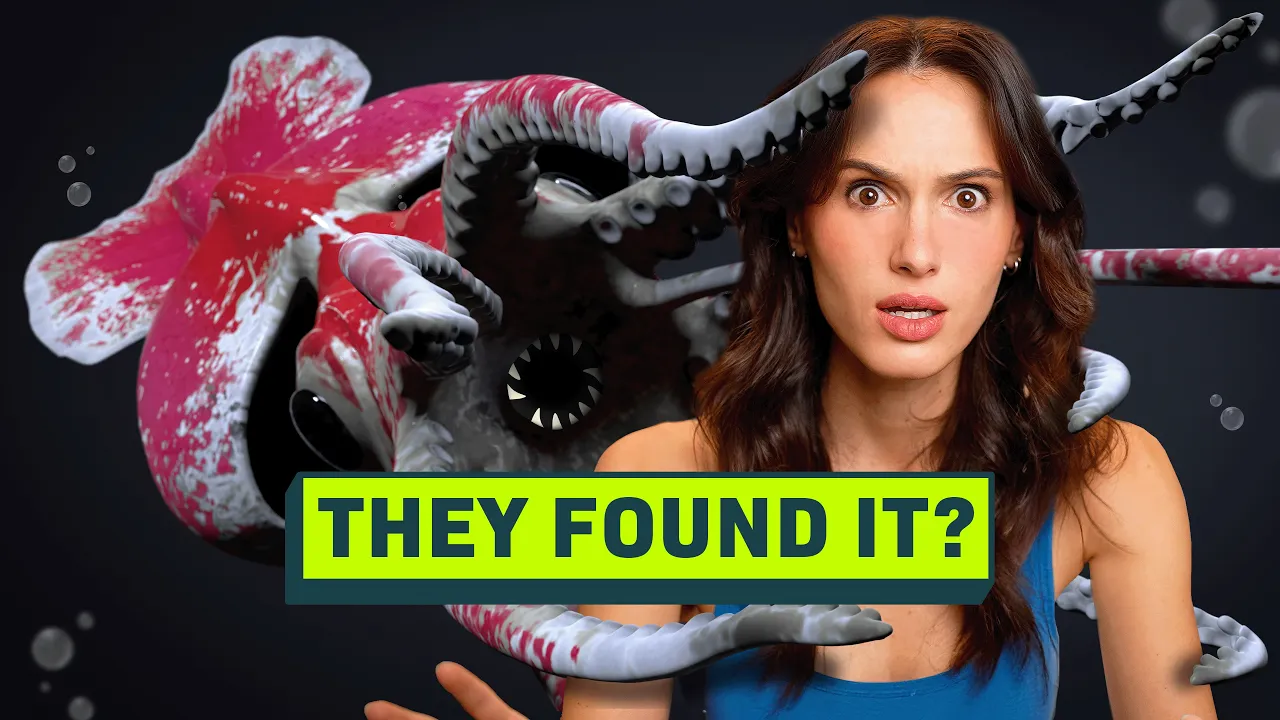 The New Hunt for the Colossal Squid