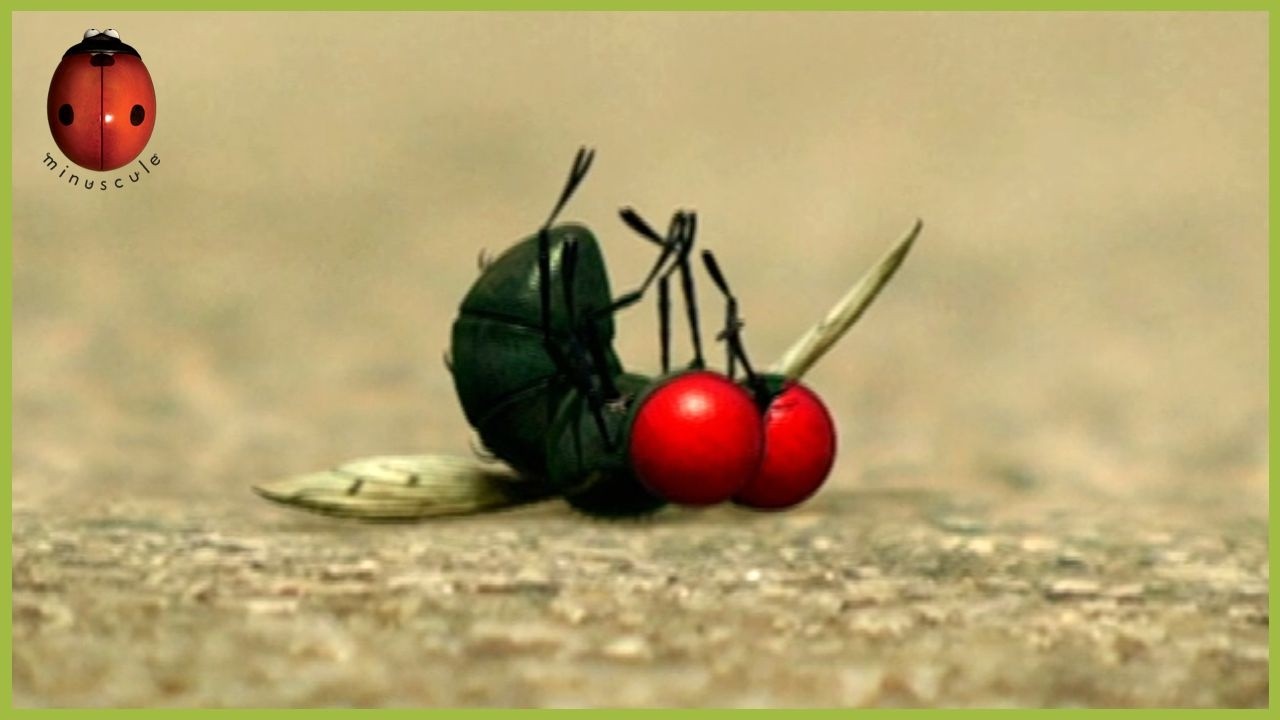 The Persevering One | Minuscule | 35' Compilation