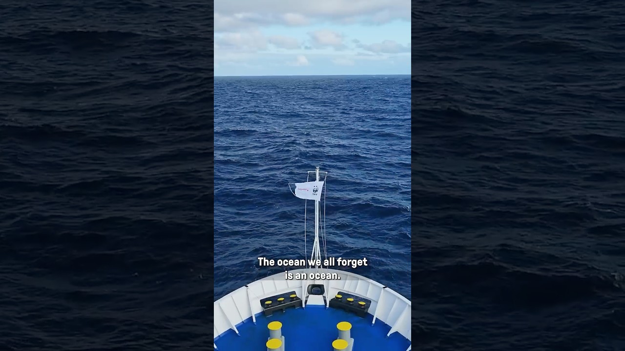 The World's Most Important Ocean? @Storyblocks #ad