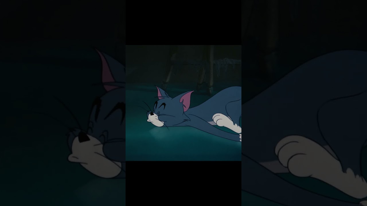 Thomas Jasper Cat Sr. on the drums #TomandJerry