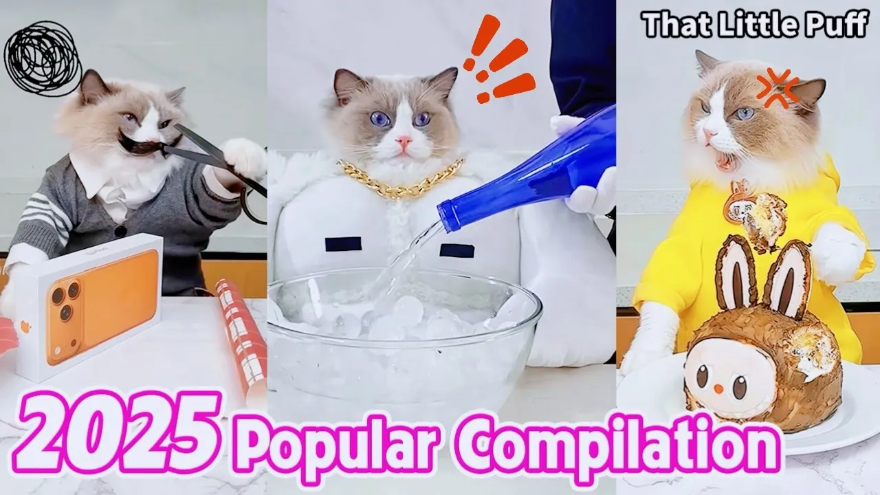 🏆Top 70 Viral Moments of 2️⃣0️⃣2️⃣5️⃣ | That Little Puff